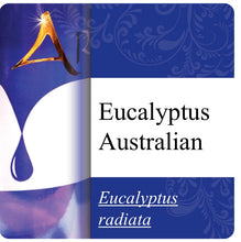 Load image into Gallery viewer, Eucalyptus Australiana Essential Oil