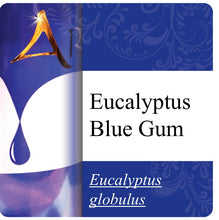 Load image into Gallery viewer, Eucalyptus Blue Gum Essential Oil