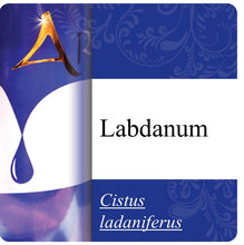 Load image into Gallery viewer, Labdanum Absolute Essential Oil