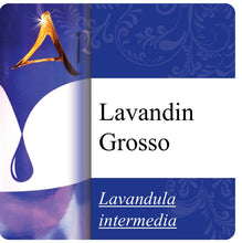 Load image into Gallery viewer, Lavandin Grosso Essential Oil