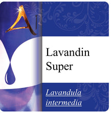 Load image into Gallery viewer, Lavandin Super Essential Oil