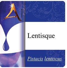 Load image into Gallery viewer, Lentisque Essential Oil