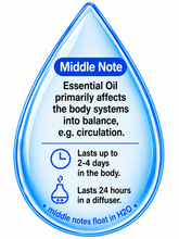 Load image into Gallery viewer, Camphor Essential Oil