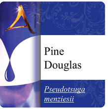 Load image into Gallery viewer, Pine Douglas Essential Oil