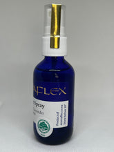 Load image into Gallery viewer, Nit Buster Spray