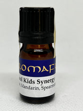 Load image into Gallery viewer, Kool Kids Synergy
