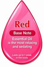 Load image into Gallery viewer, Cinnamon Leaf Essential Oil
