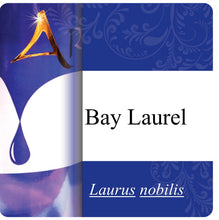 Load image into Gallery viewer, Bay Laurel Essential Oil
