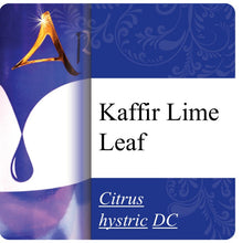 Load image into Gallery viewer, Kaffir Lime Leaf Essential Oil
