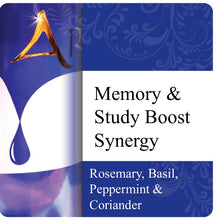 Load image into Gallery viewer, Memory &amp; Study Boost Synergy
