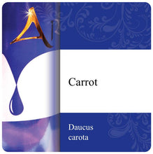 Load image into Gallery viewer, Carrot Oil
