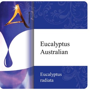 Eucalyptus Australiana Essential Oil